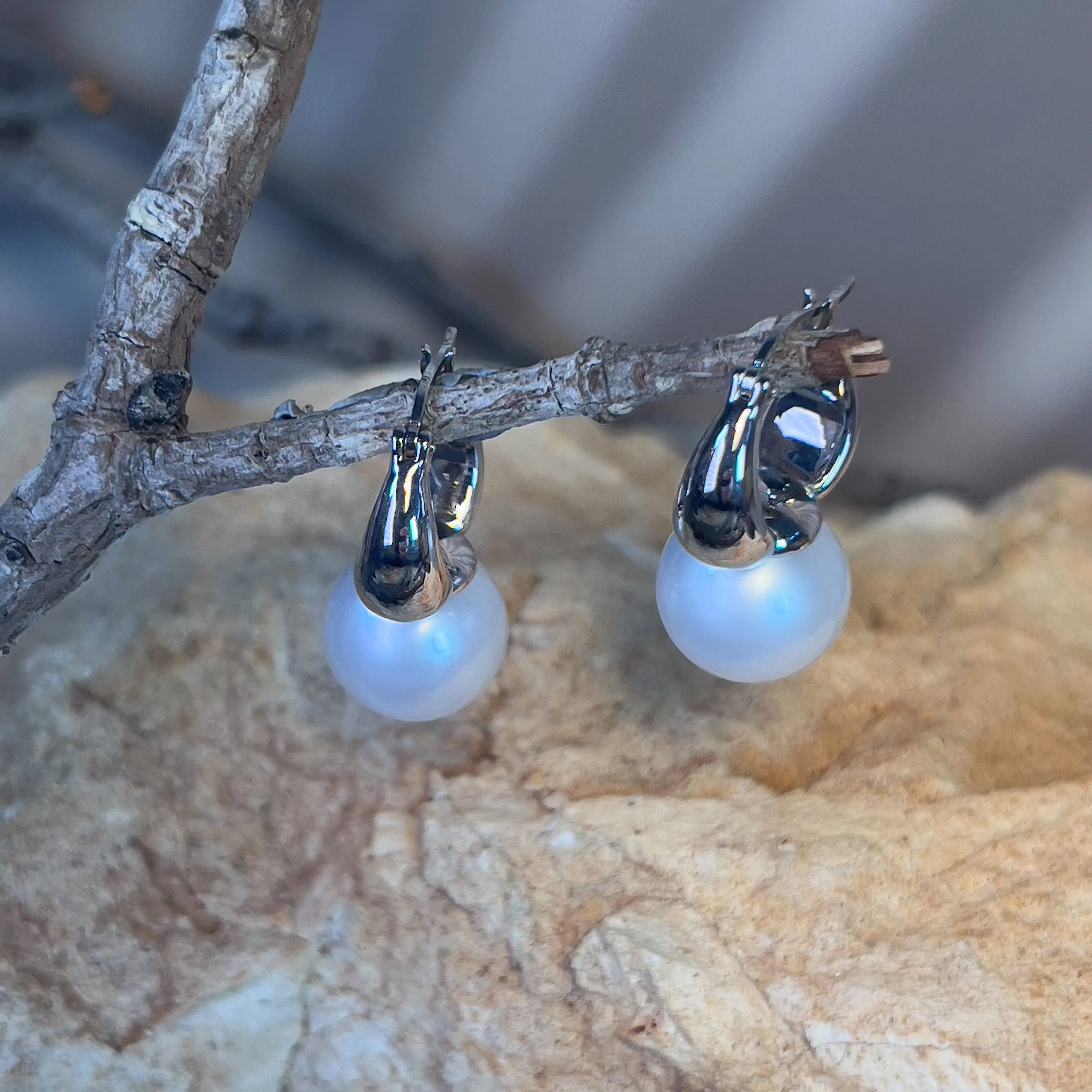 18kt White Gold Soft White South Sea 12-12.5mm huggie style earrings