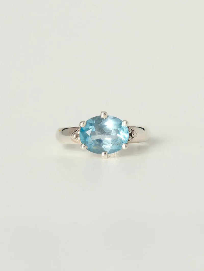 Artemis Cocktail Ring | Silver (all stones)