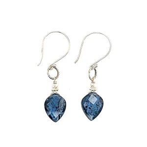 AVF Silver Indigo Kyanite Point Earrings (SI2887)