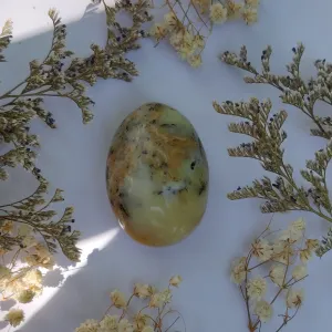 Dendritic Opal Palm Stone (#25)