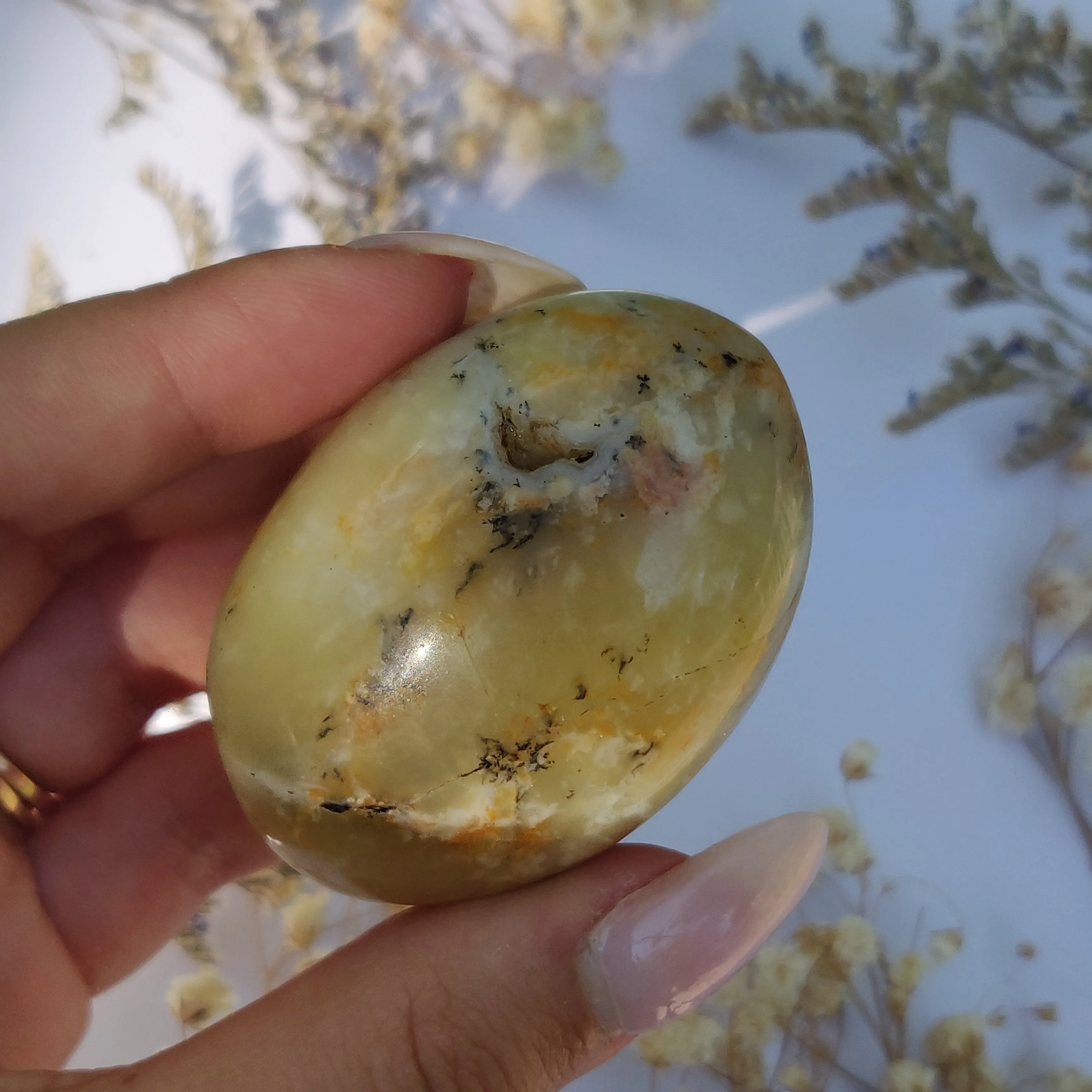 Dendritic Opal Palm Stone (#25)
