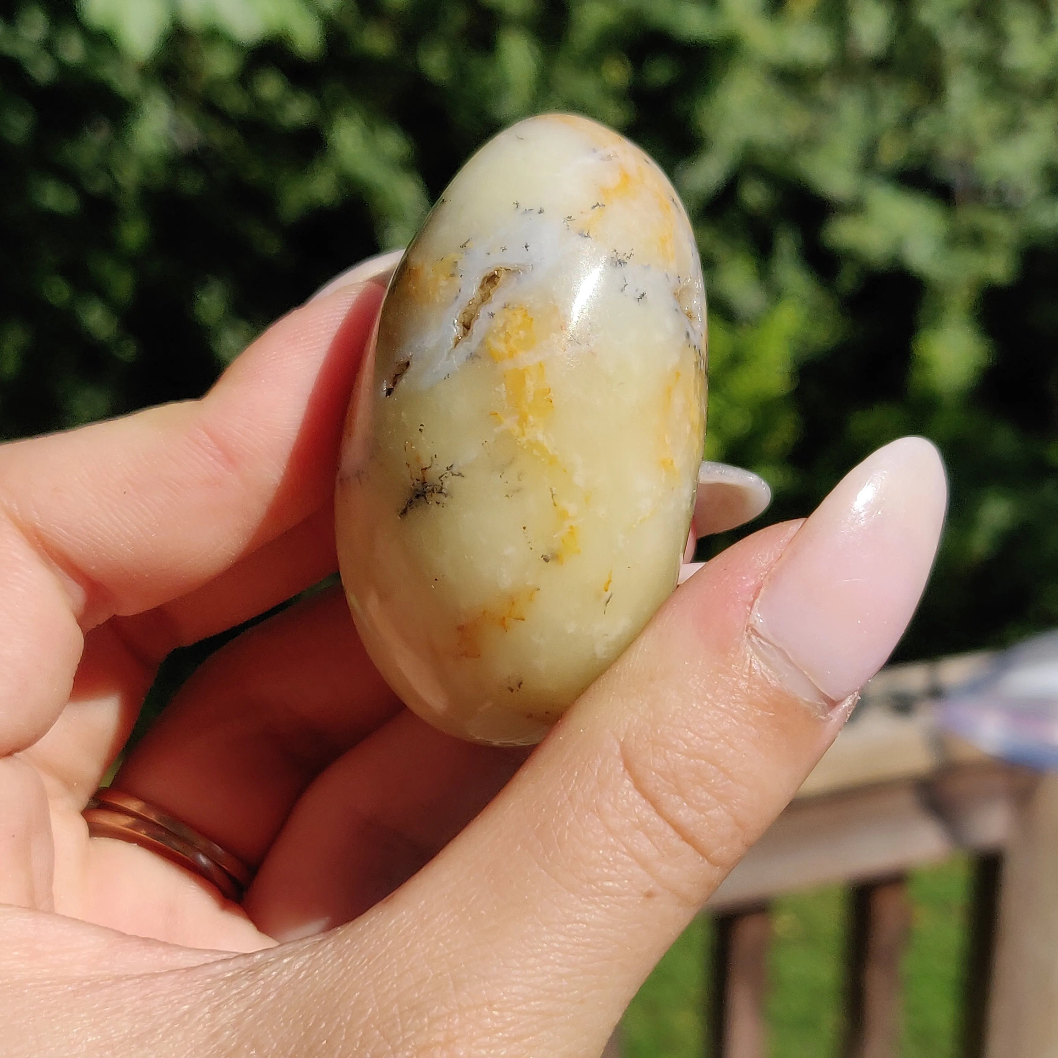 Dendritic Opal Palm Stone (#25)