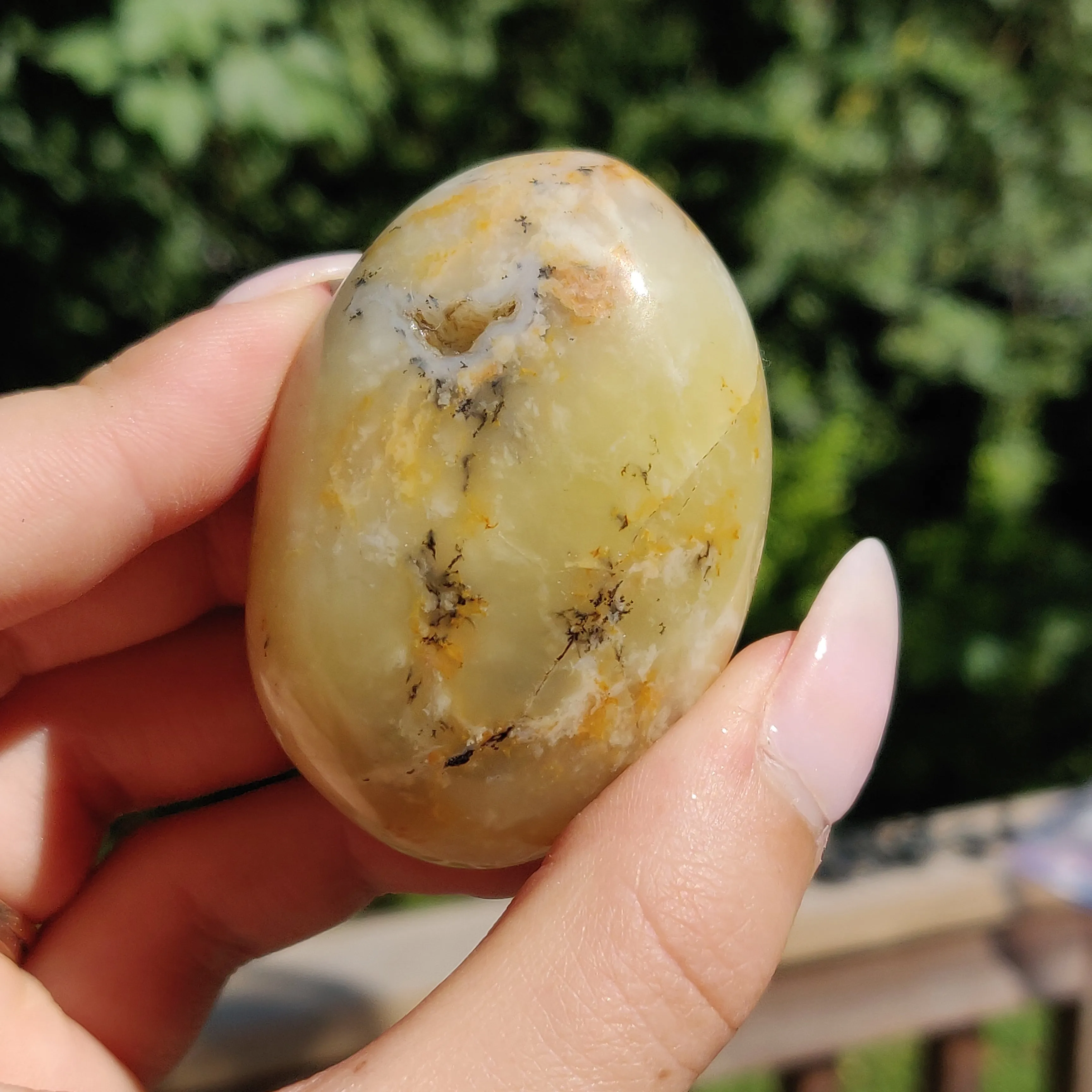Dendritic Opal Palm Stone (#25)