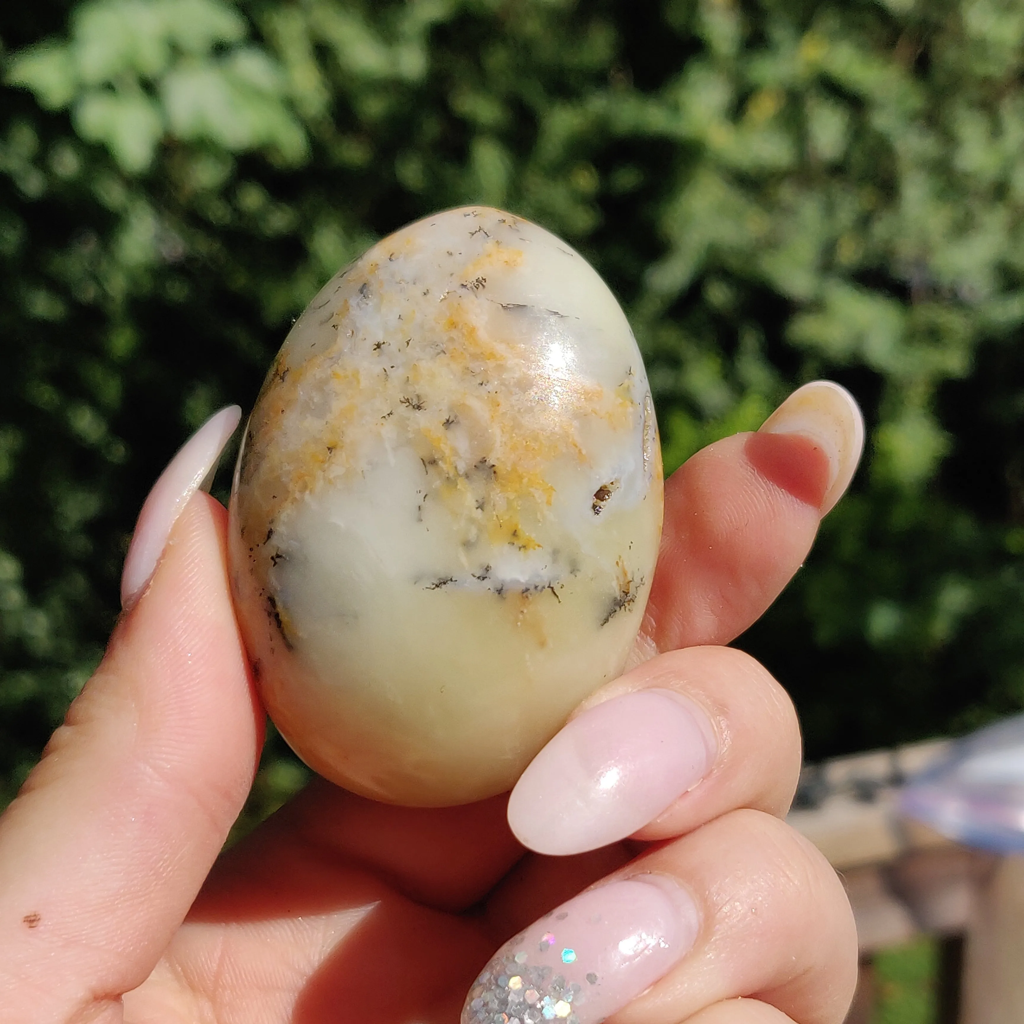 Dendritic Opal Palm Stone (#25)