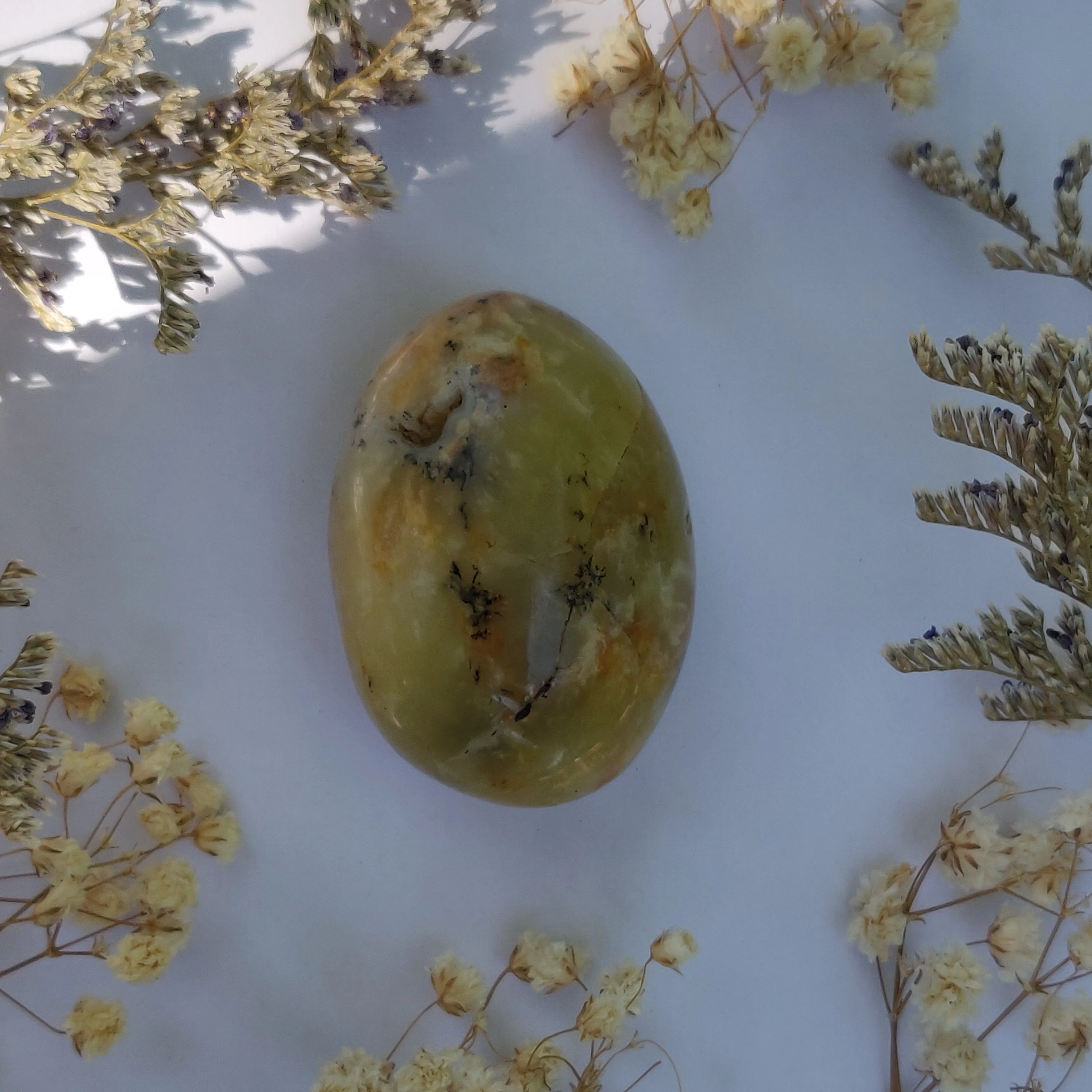 Dendritic Opal Palm Stone (#25)