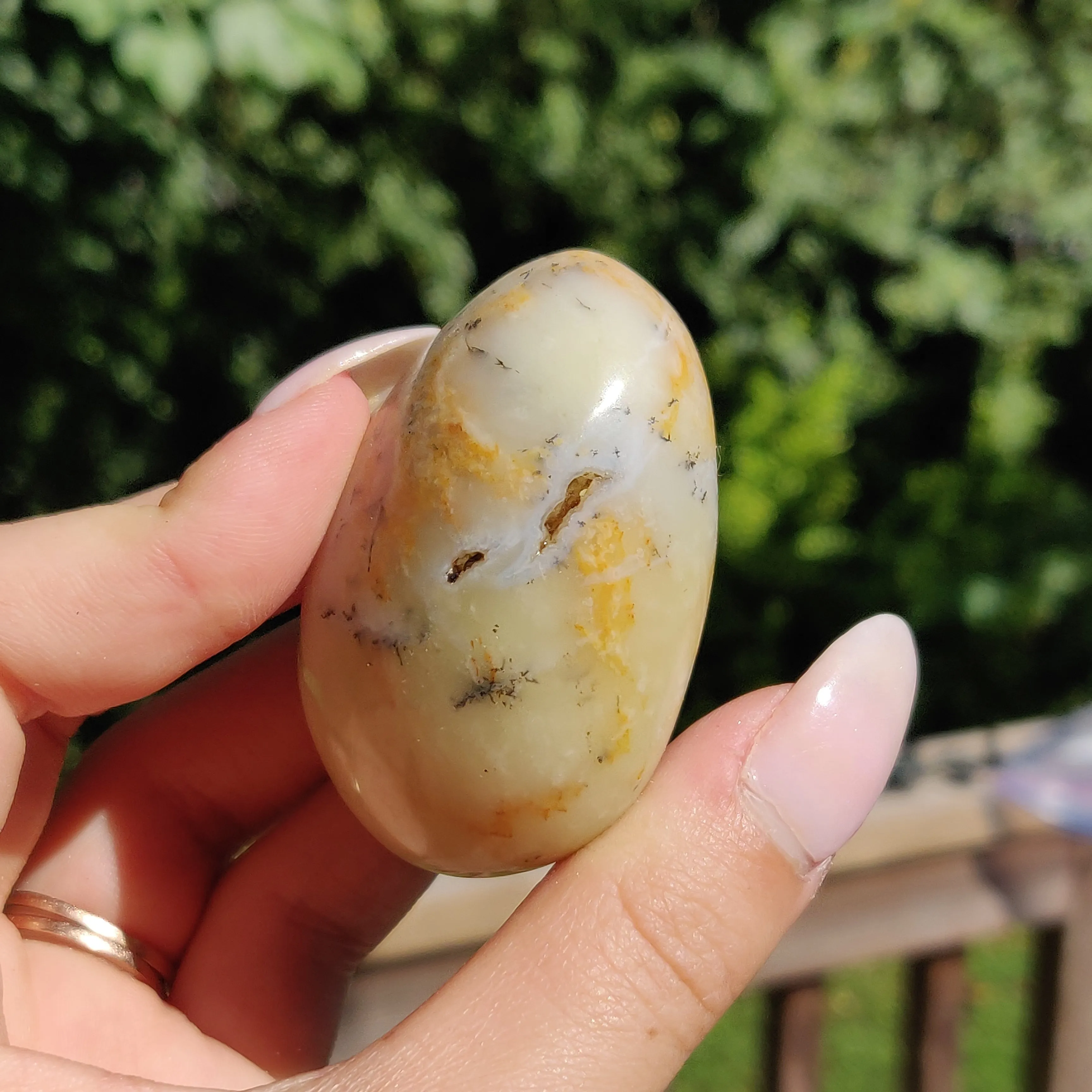 Dendritic Opal Palm Stone (#25)