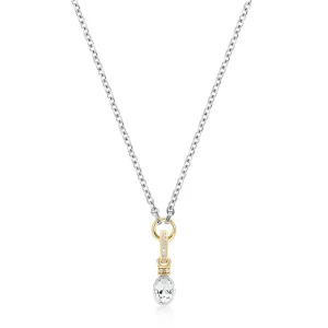 Oval Cut Charm on Carrier Chain