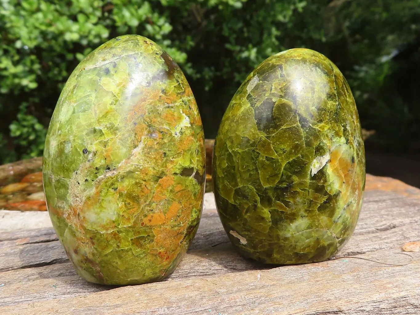 Polished Small Green Opal Standing Free Forms  x 6 From Madagascar