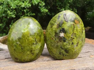 Polished Small Green Opal Standing Free Forms  x 6 From Madagascar