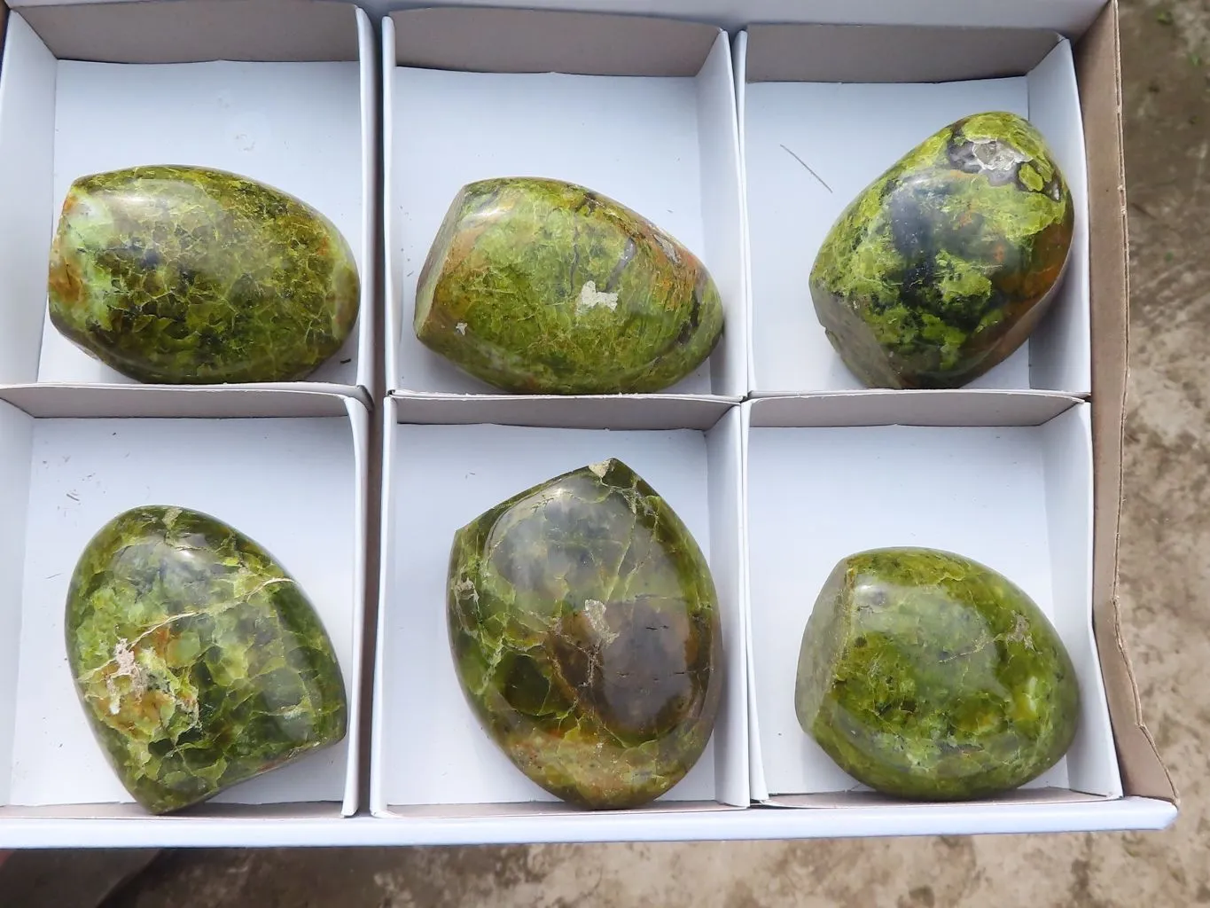 Polished Small Green Opal Standing Free Forms  x 6 From Madagascar
