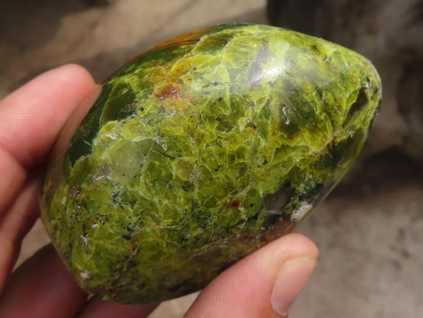 Polished Small Green Opal Standing Free Forms  x 6 From Madagascar