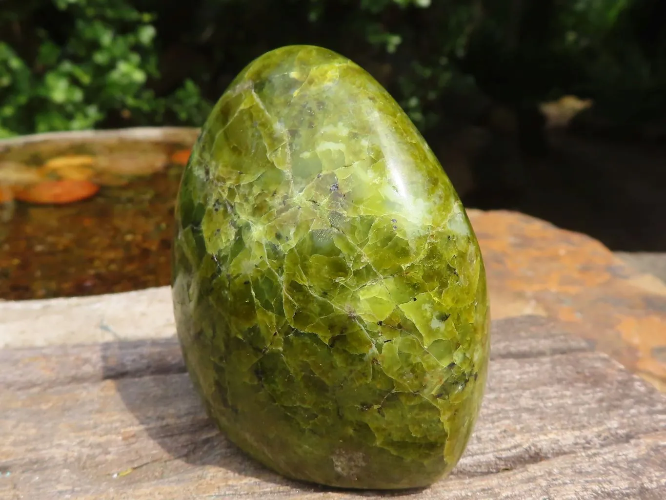 Polished Small Green Opal Standing Free Forms  x 6 From Madagascar