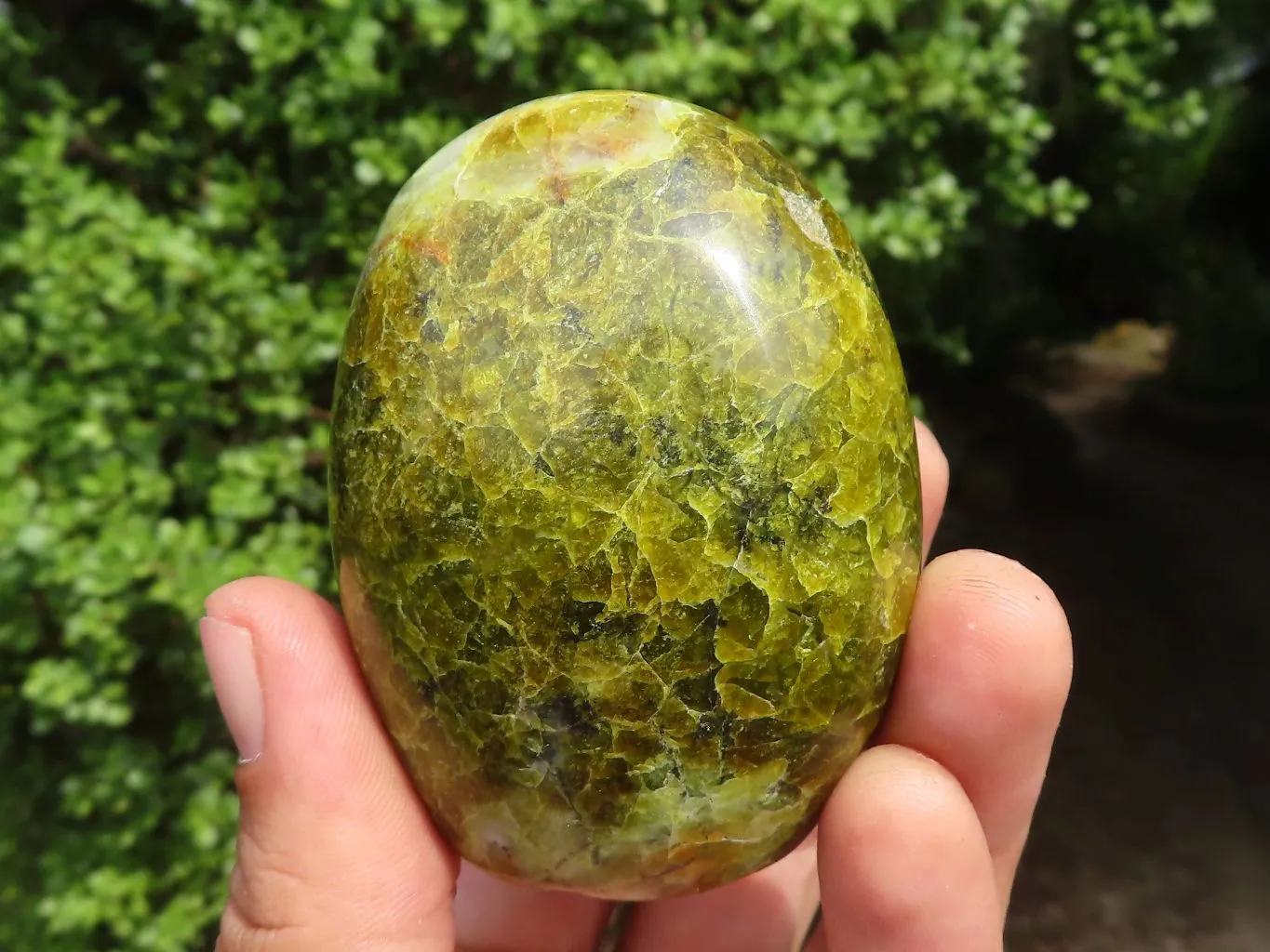 Polished Small Green Opal Standing Free Forms  x 6 From Madagascar