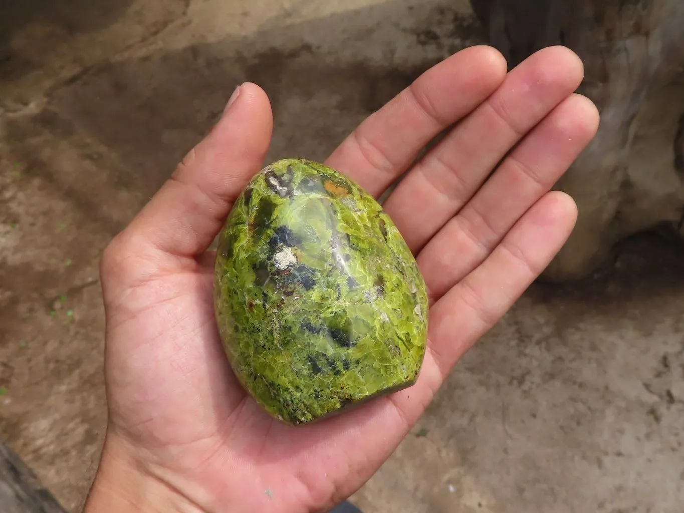 Polished Small Green Opal Standing Free Forms  x 6 From Madagascar