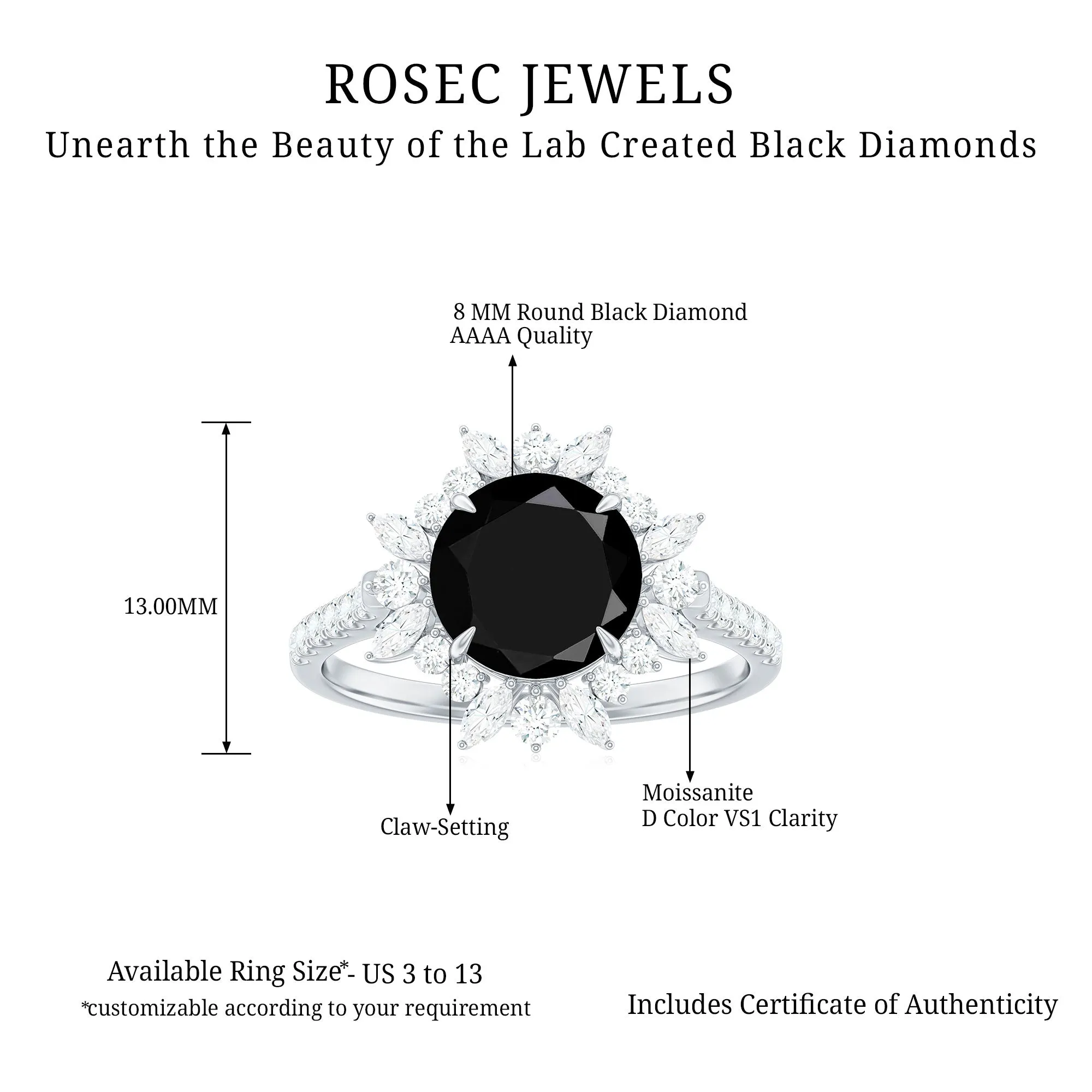 Round Created Black Diamond Statement Ring with Moissanite Floral Halo