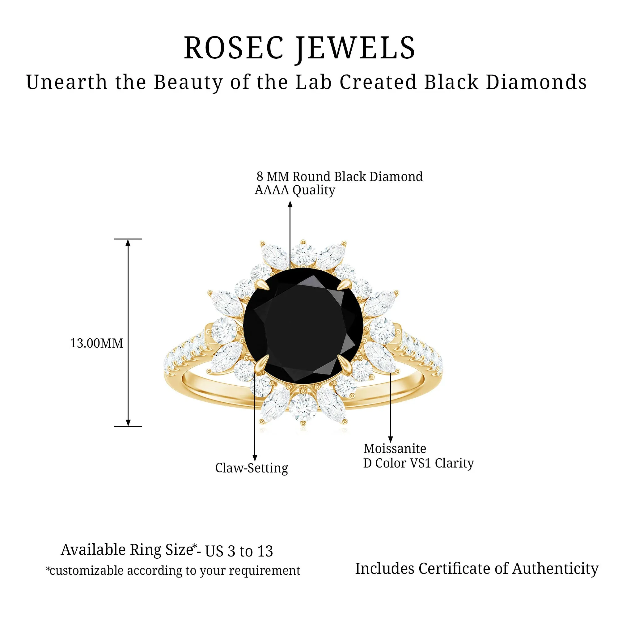 Round Created Black Diamond Statement Ring with Moissanite Floral Halo